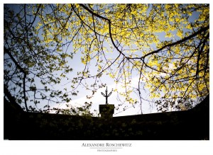 Idées de photos de couple ou photos de mariage : le parc floral de Bordeaux - Alexandre Roschewitz Photographies