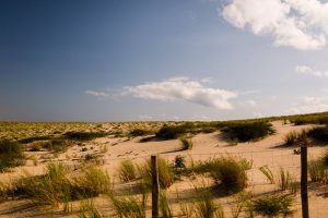 Le photoreportage du mariage de C+B au Cap Ferret, à la Mairie, à l'Eglise Notre-Dame des Flots et au Pinasse Café, devant le bassin d'Arcachon.
