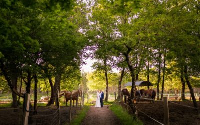 Mariage à la Colonie du Bourdiou – Camille + Romain