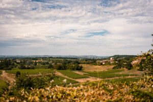 Mariage au Château Isabeau de Naujan Saint-Vincent-de-Pertignas. Cérémonie laïque dans la cours et réception sur la terrasse avec vue sur les vignobles bordelais.