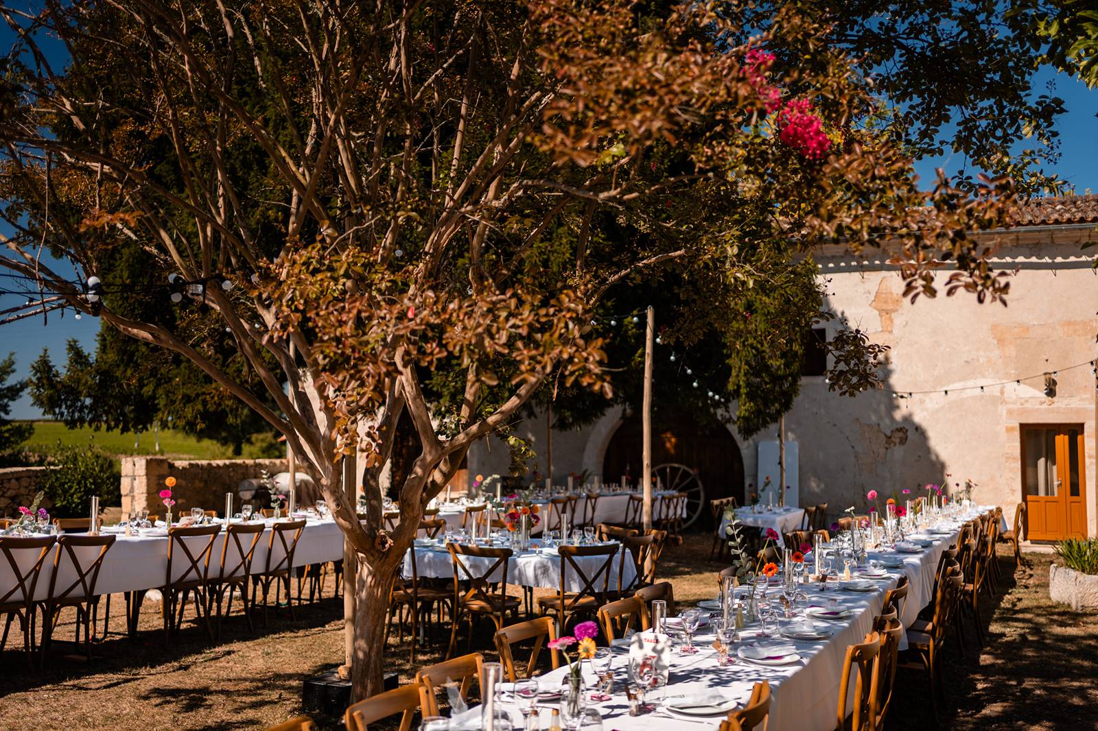 Décoration des tables du mariage au Domaine de Gaïa sous les étoiles