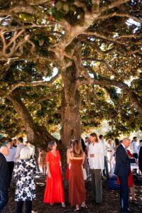Toast champagne après la cérémonie civile avec les invités